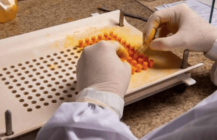 Formulating Coenzyme Q10 Products with Modern Delivery Systems